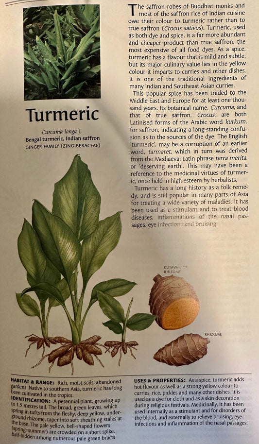 TURMERIC— THE GOLDEN PATH TO HEALTHY SKIN